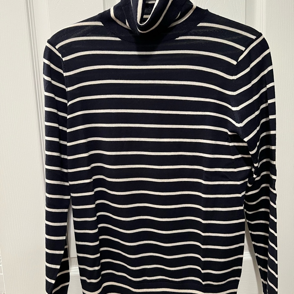 Banana Republic Blue and White Striped Turtleneck Sweater